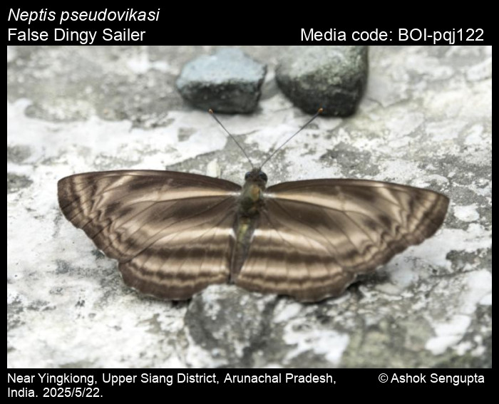 BOI-pqj122